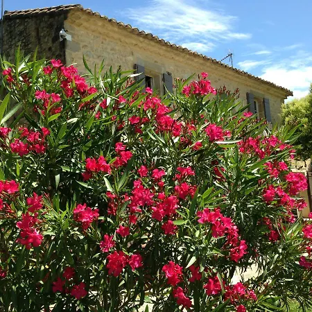 La Fontaine Des Oliviers 3*