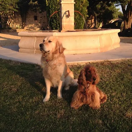 La Fontaine Des Oliviers Bed and Breakfast 3*