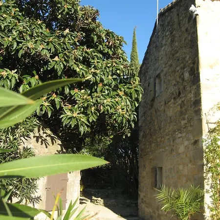 La Fontaine Des Oliviers Blauzac (Gard)