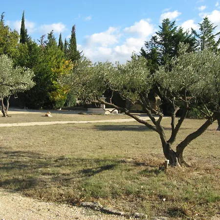 La Fontaine Des Oliviers Bed and Breakfast 3*