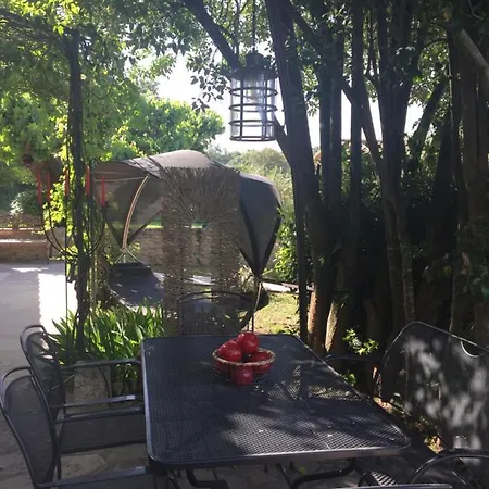 La Fontaine Des Oliviers