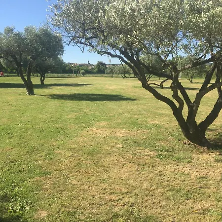 Bed and Breakfast La Fontaine Des Oliviers