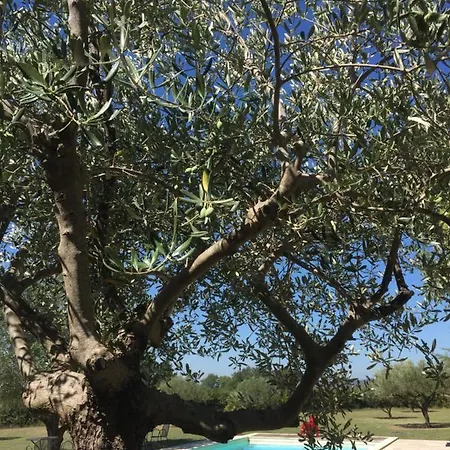 Bed and Breakfast La Fontaine Des Oliviers 3*