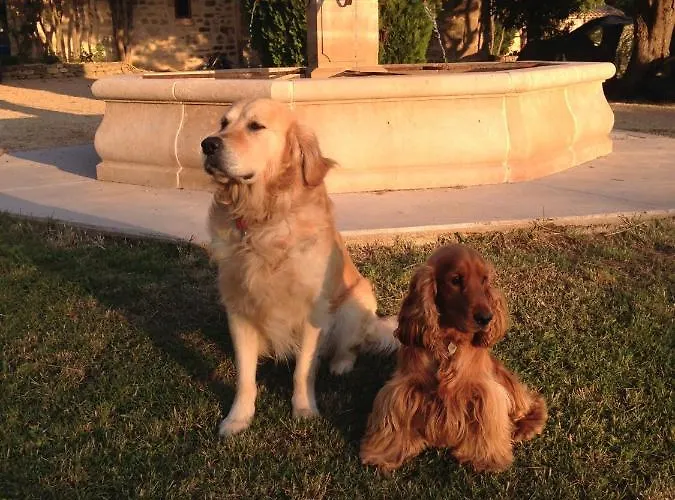 La Fontaine Des Oliviers فندق مبيت وإفطار 3*