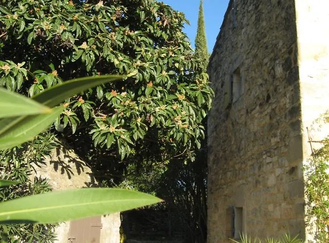 La Fontaine Des Oliviers Blauzac (Gard)